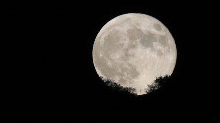 What Is a Moon Cricket: Unveiling the Origins and Evolution of a Controversial Term